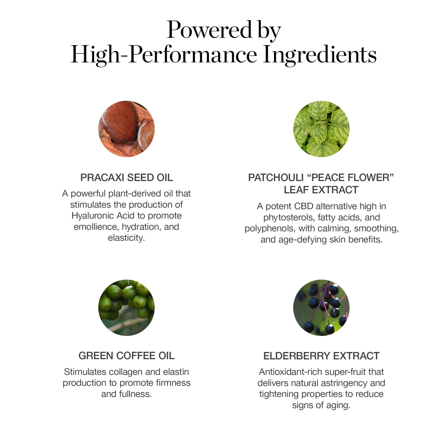 Ogee Sculpted Complexion Foundation Stick (Sequoia 13.5C - Deep Auburn, Copper Undertones) Full Coverage Foundation Makeup