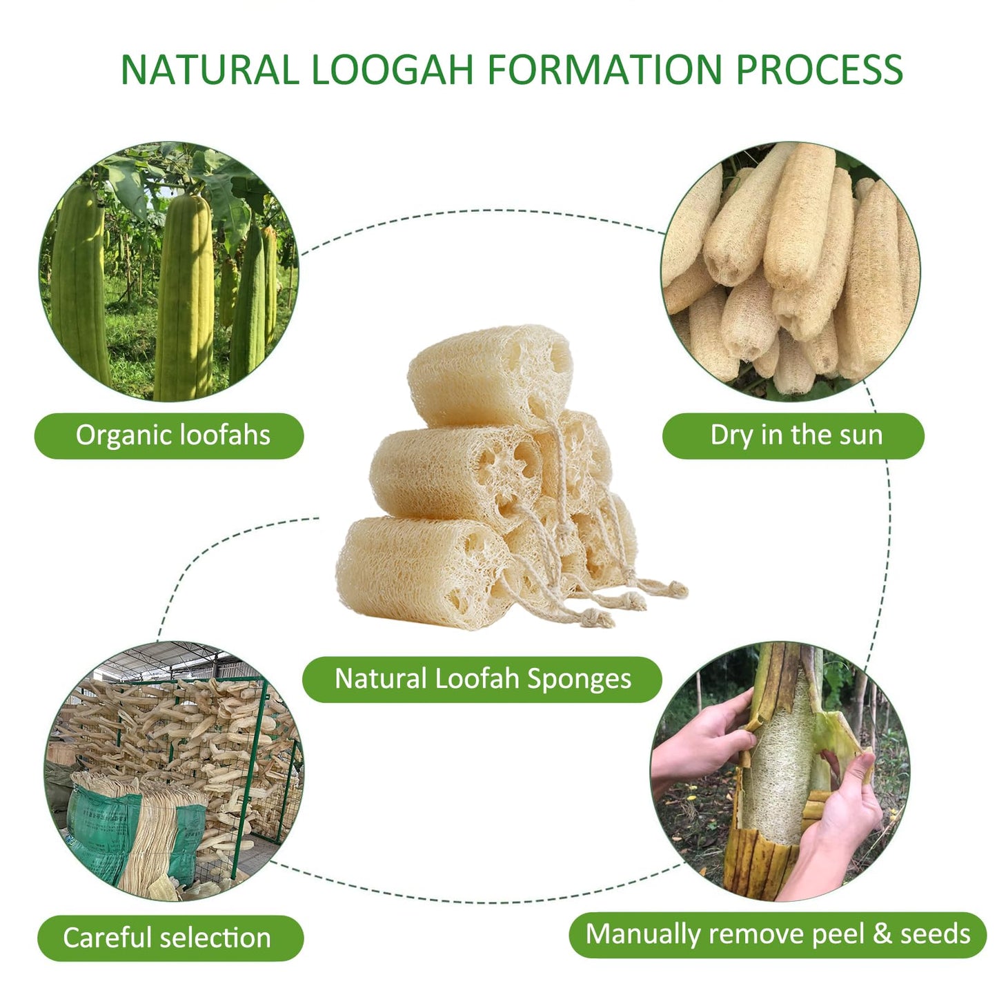 FRTIM Natural Loofah Sponge, Organic Bath Loofah Pack, Lufas Exfoliating Body Scrubber, Loofas Sponges Shower Loofah for Women and Men, Skin SPA