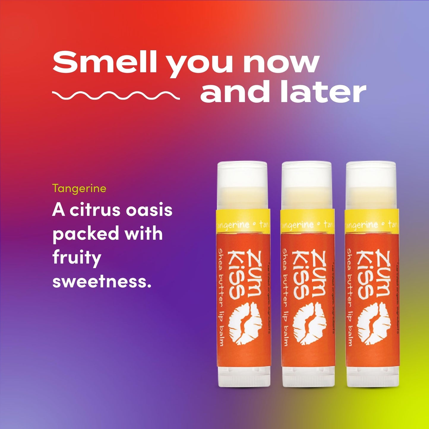 Indigo Wild Zum Kiss Stick - Natural Lip Balm with Organic Beeswax, Sunflower Oil & Vitamin E - Flavored, Hydrating Lip Moisturizer - Tangerine (3