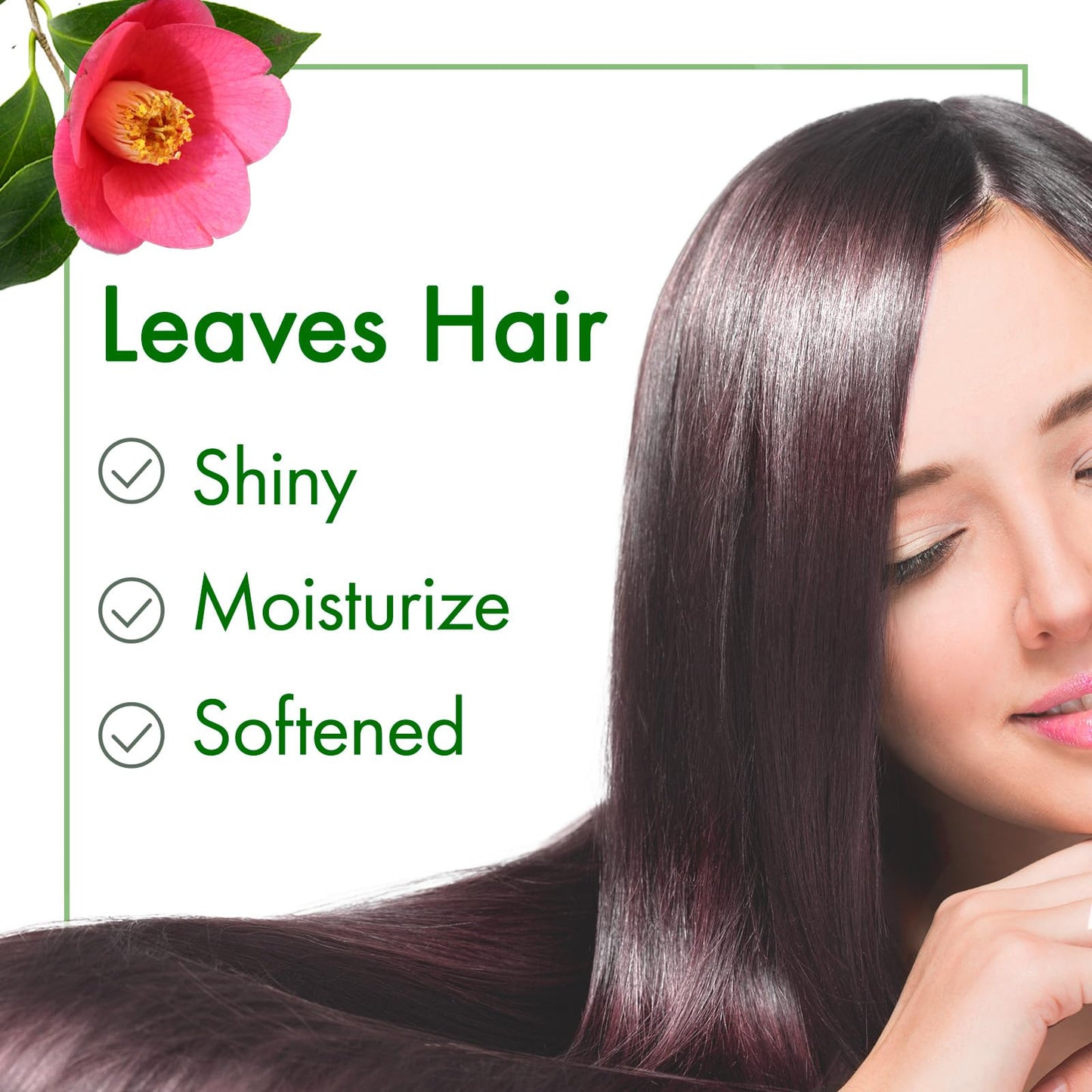 Oshima Tsubaki Camellia seed Oil - English Packaging for US - 100% Pure and Natural, Plant-Based, Single-Ingredient, Moisturizing for Hair, Face