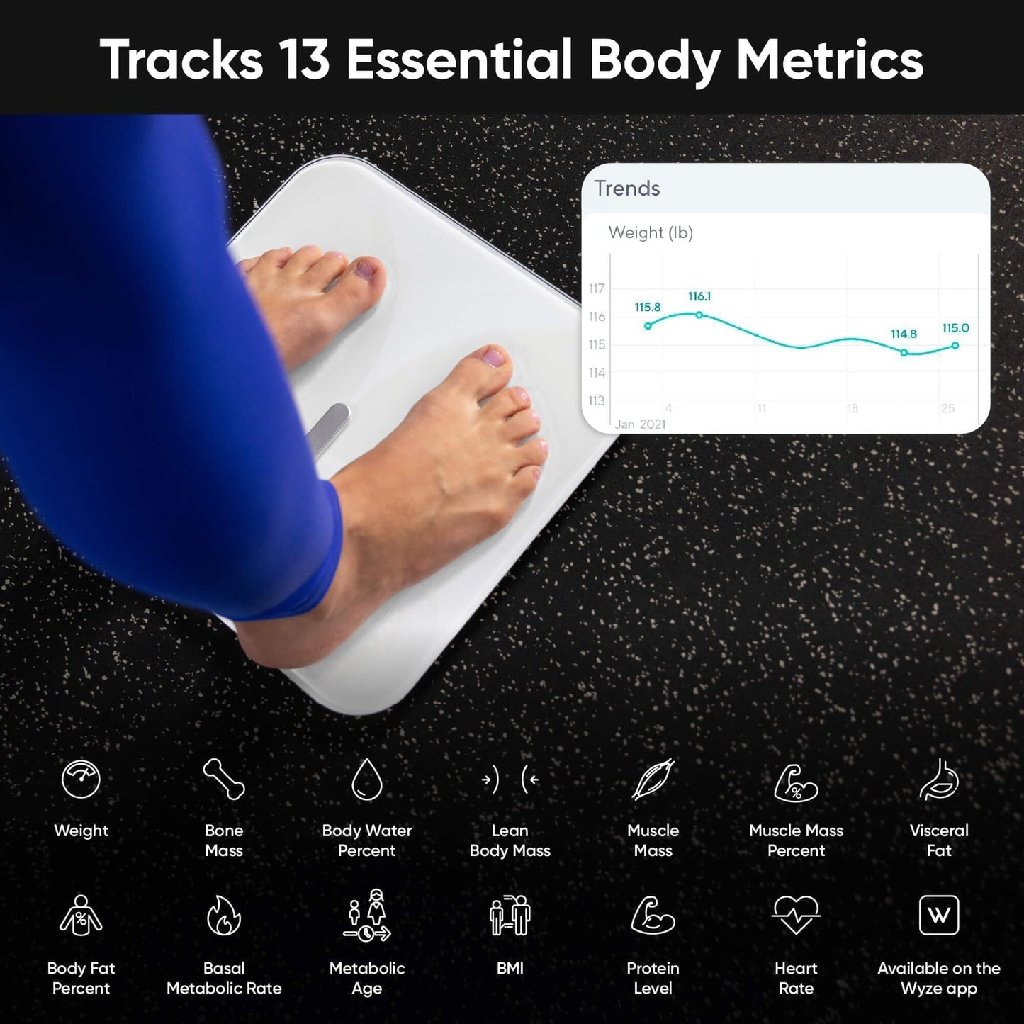 Wyze Smart Scale X Butterfly - Bathroom Scale for Body Weight, BMI, Body Fat, Muscle Mass, Accurate Bluetooth Digital Scale for Body Compositionโฆ