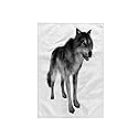 3D Rose TWL_234154_1 Grey Wolf Towel, 15" x 22"
