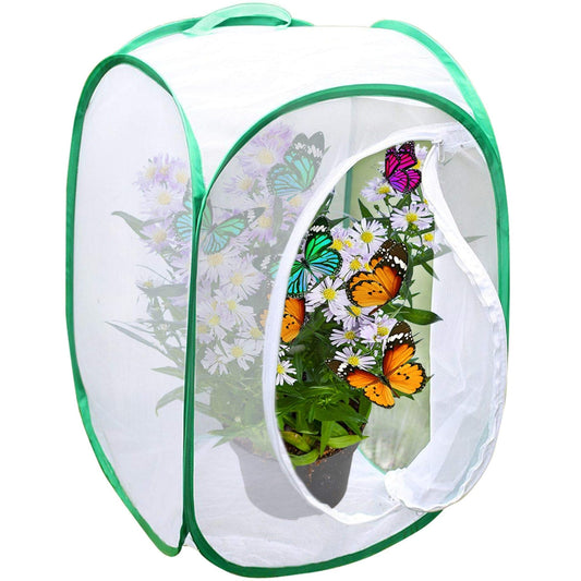 SunGrow Foldable Butterfly Habitat – 24" Cage for Caterpillars, Butterfly Farm & Insect Enclosure for Breeding Ladybugs, Dragonflies & More, Green