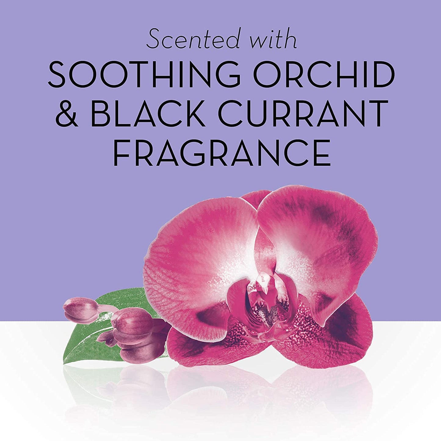 Olay Soothing Orchid & Black Currant Foaming Whip Body Wash, 10.3 oz