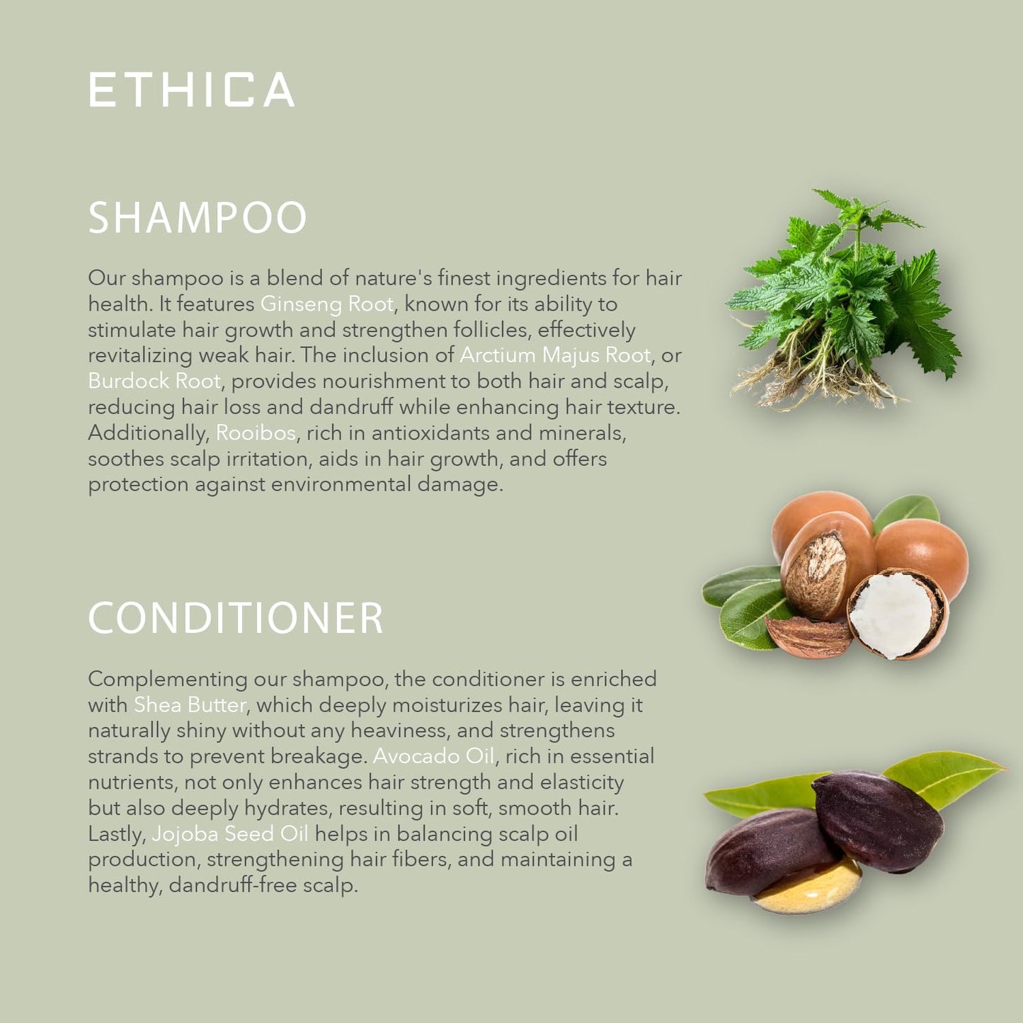 Shampoo and Conditioner. Clarifying & Deep Conditioning. Promotes Strong Healthy Hair, Scalp Health, and Hair Growth, 8.45 Oz