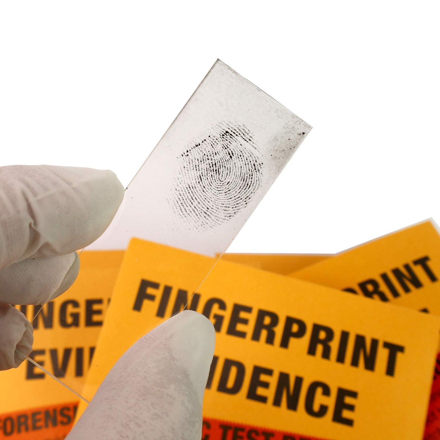 Crime Scene Forensic Science Mega Kit: The Missy Hammond Case - 40-Student Pack