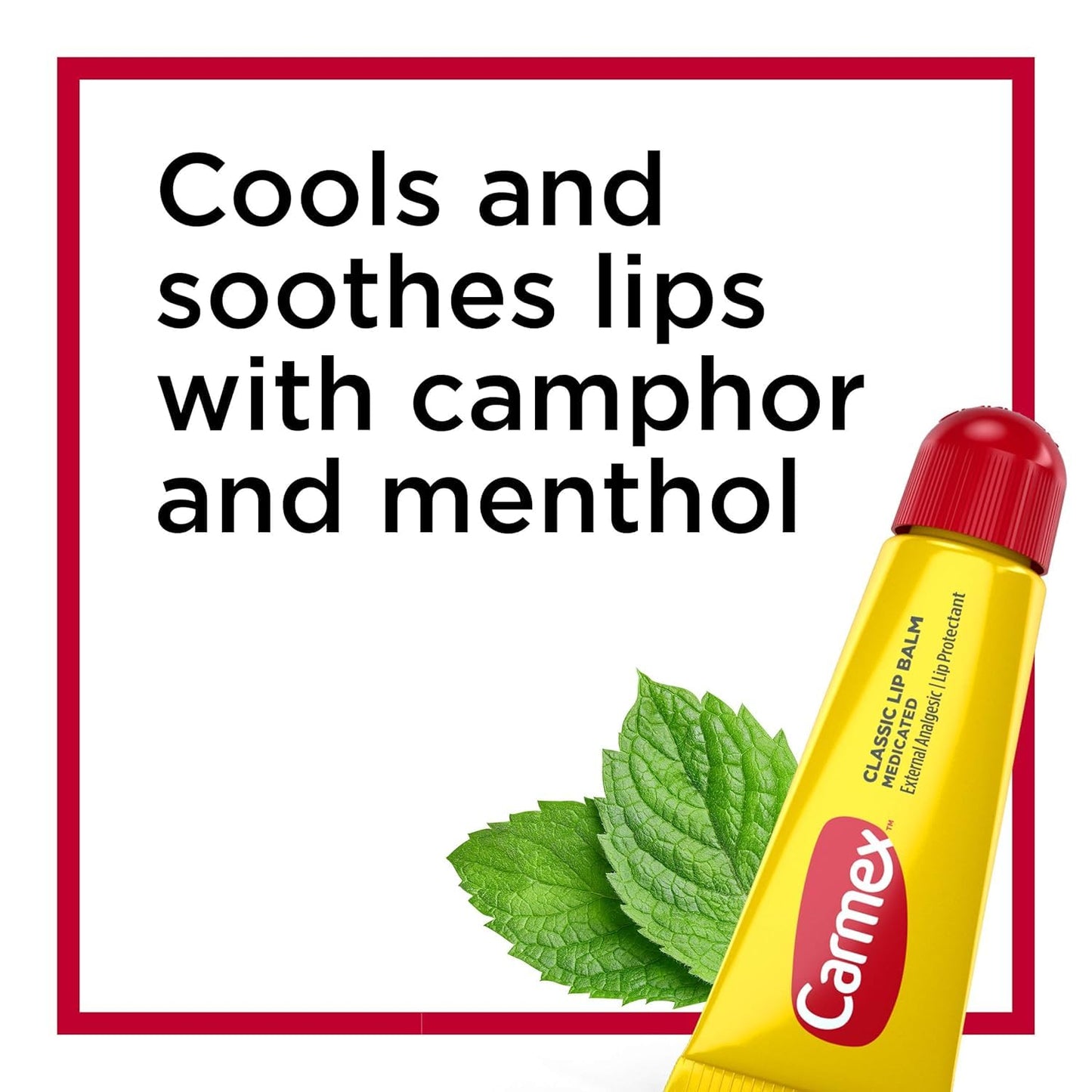 Carmex Lip Balm Tubes (Pack of 12) by Carmex Beauty and Personal Care Carmex