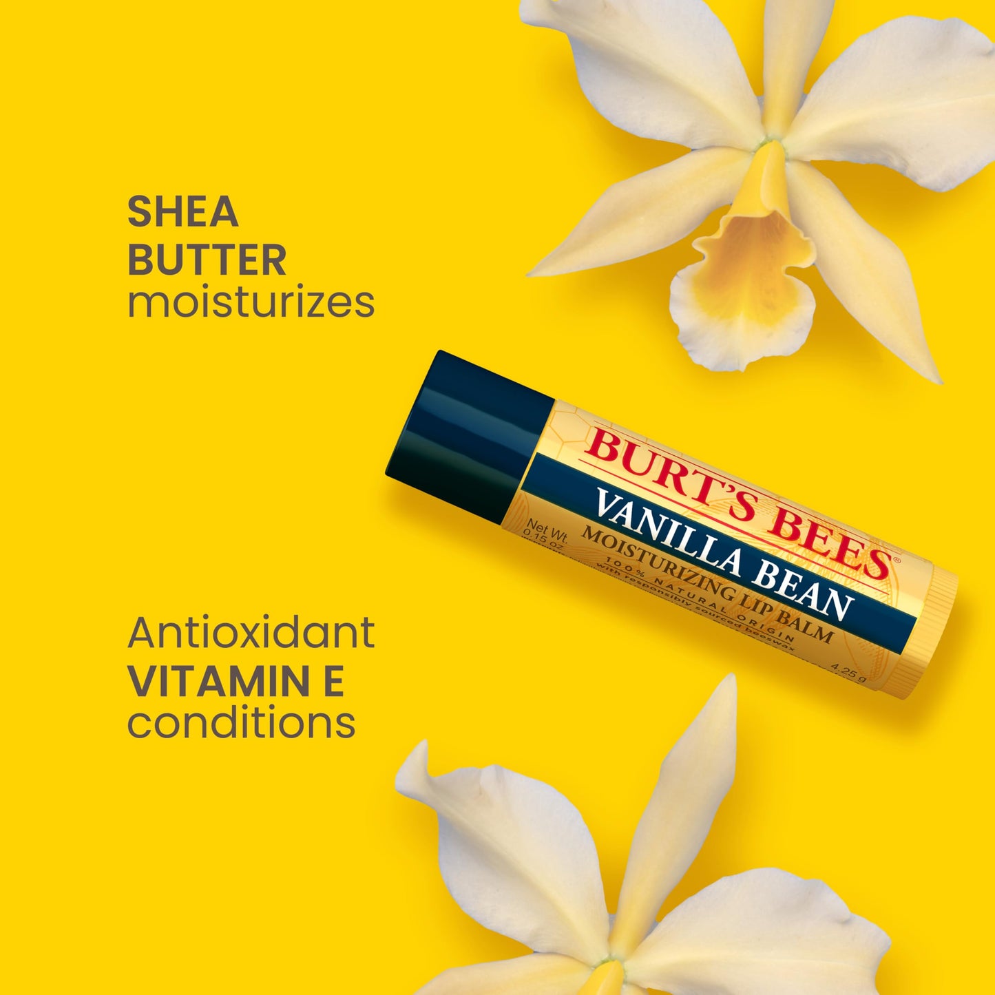 Burt's Bees 100% Natural Lip Balm, Wild Cherry and Vanilla Bean Blister Box, 0.3 Ounce, 2 Count