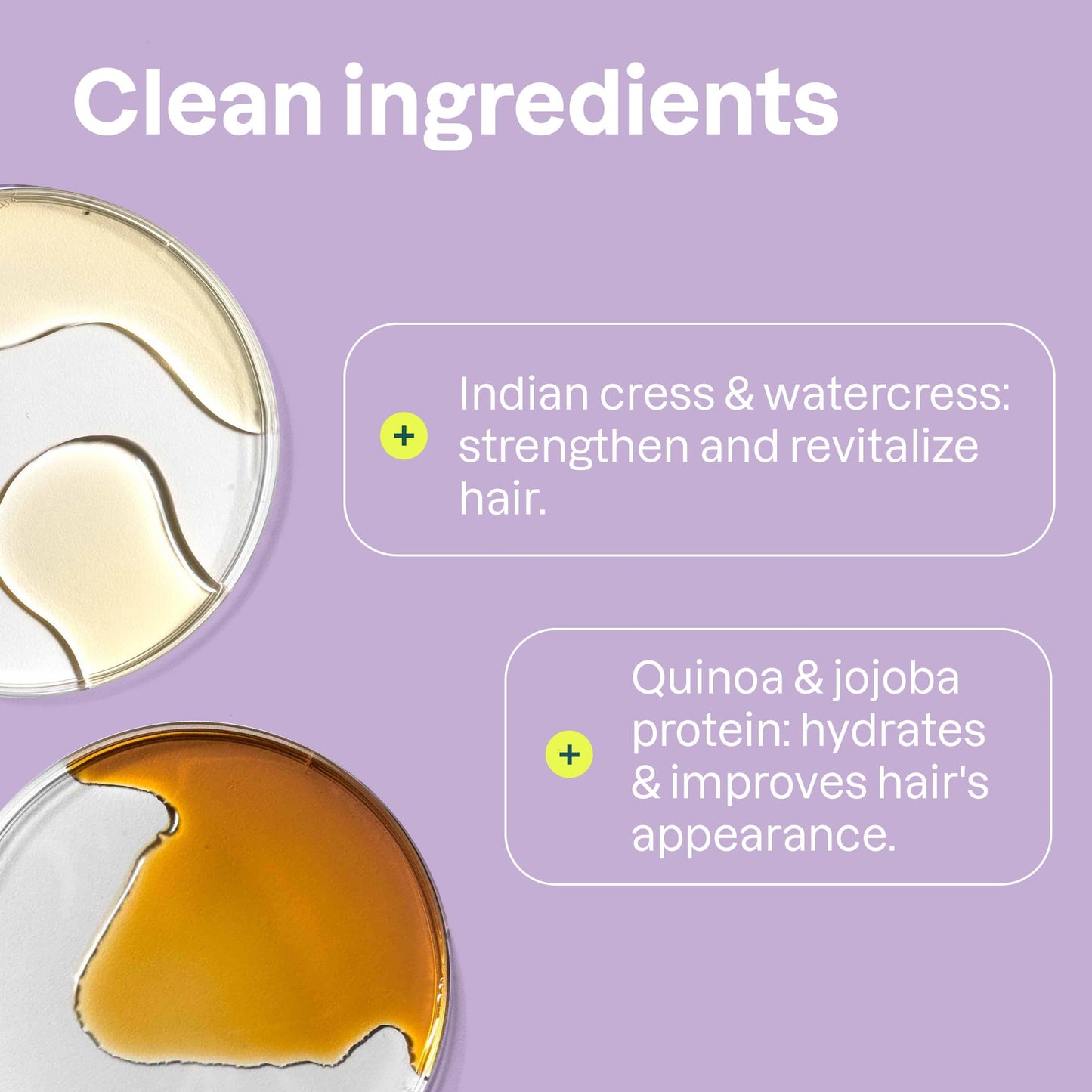 ATTITUDE Moisture Rich Hair Conditioner, For Dry and Damaged Hair, Naturally Derived Ingredients, Vegan Detangler, Dermatologiocally Tested, Quinoa