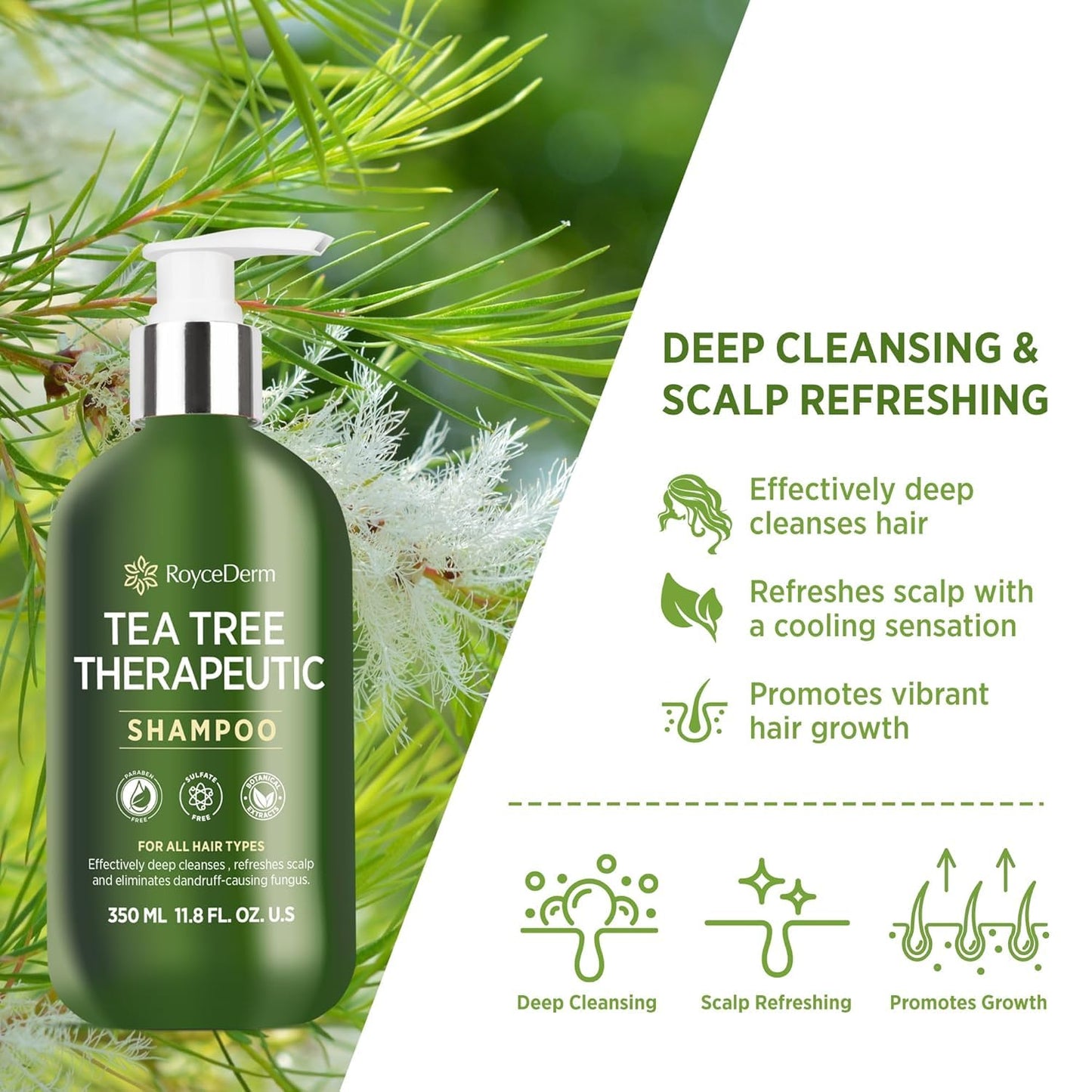Roycederm Tea Tree Antifungal Shampoo: Folliculitis Shampoo for Dry Scalp, Dandruff, and Itchy Scalp - Medicated Clarifying shampoo with Tea Tree Oil