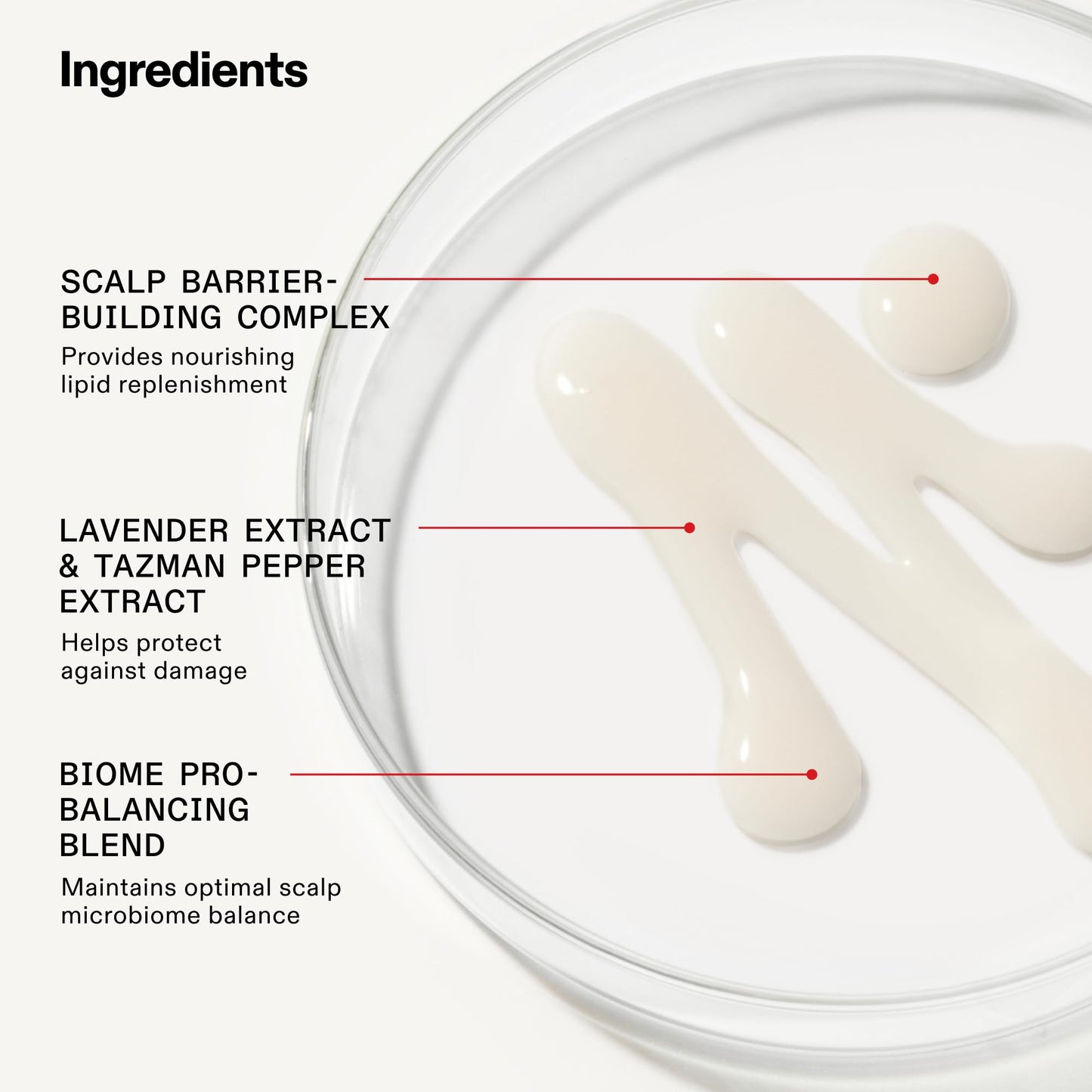Olaplex Wash & Shine Fine Hair Kit: Nº. 4FINE, Nº. 5FINE, Nº. 0.5, Shampoo & Conditioner Set | Gently Cleanses to Volumize & Strengthen | Hydrates