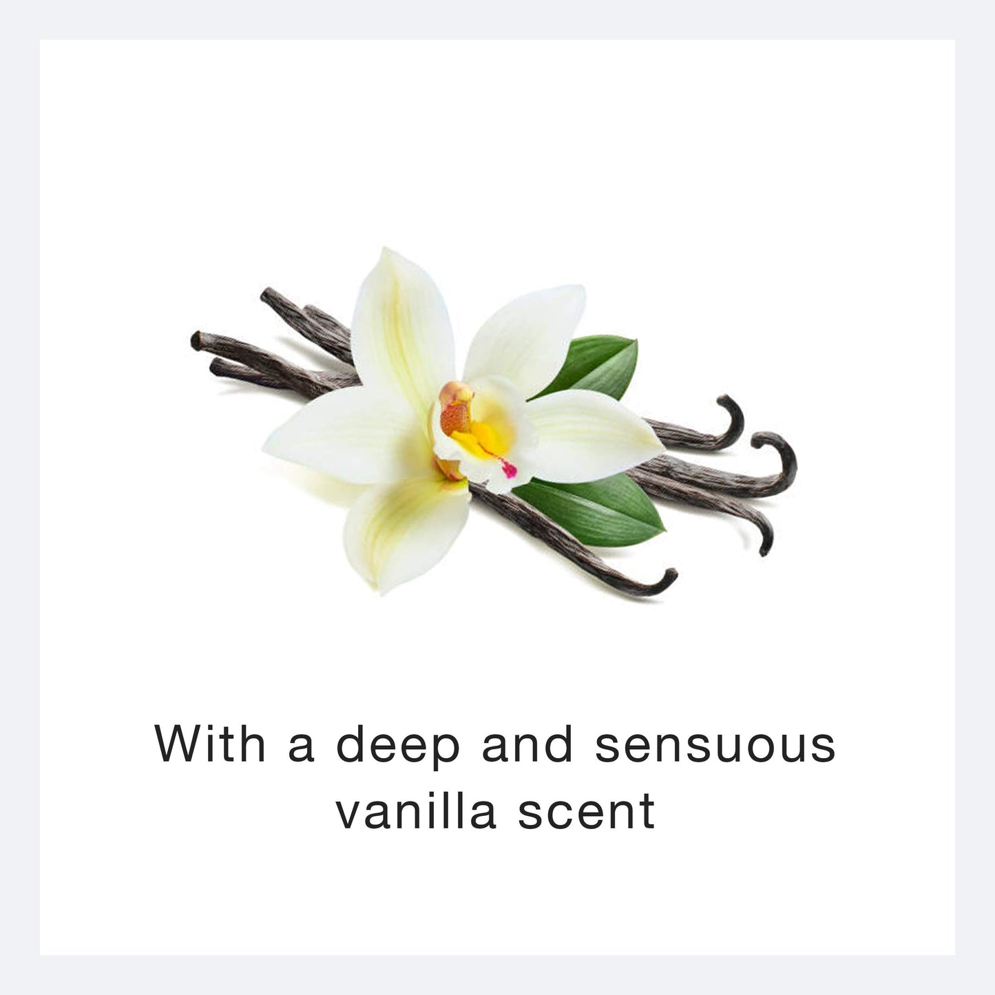 Ecco Bella Vanilla Body Lotion - Plant-Based Vegan - Clean and All Natural Body Lotion for Women & Men - Vanilla Fragrance Body Moisturizer 1 Gallon