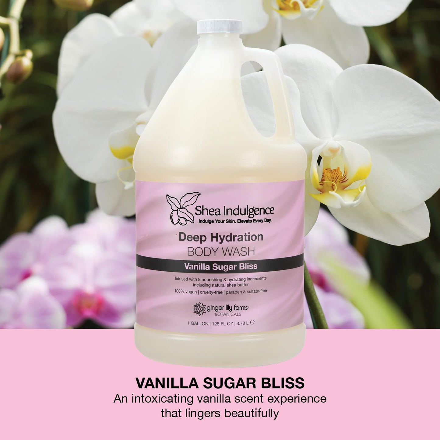 Ginger Lily Farms Botanicals Shea Indulgence Deep Hydration Body Wash, 100% Vegan & Cruelty-Free, Vanilla Sugar Bliss Scent, 1 Gallon (128 fl oz)
