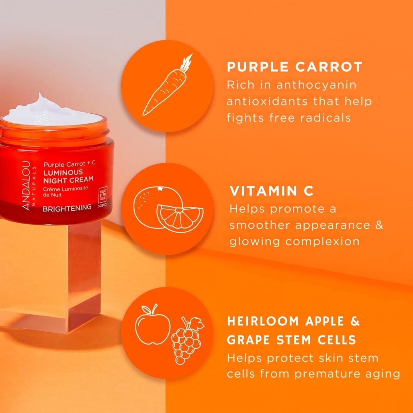 Andalou Naturals Night Cream Prpl Crrt+C 1.7 Oz