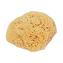 Bass Brushes Large Natural Bath Sponge Shower, 1 EA