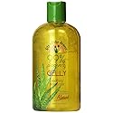 Lily of The Desert Aloe Vera Gelly, 12 Ounce -- 2 per case.
