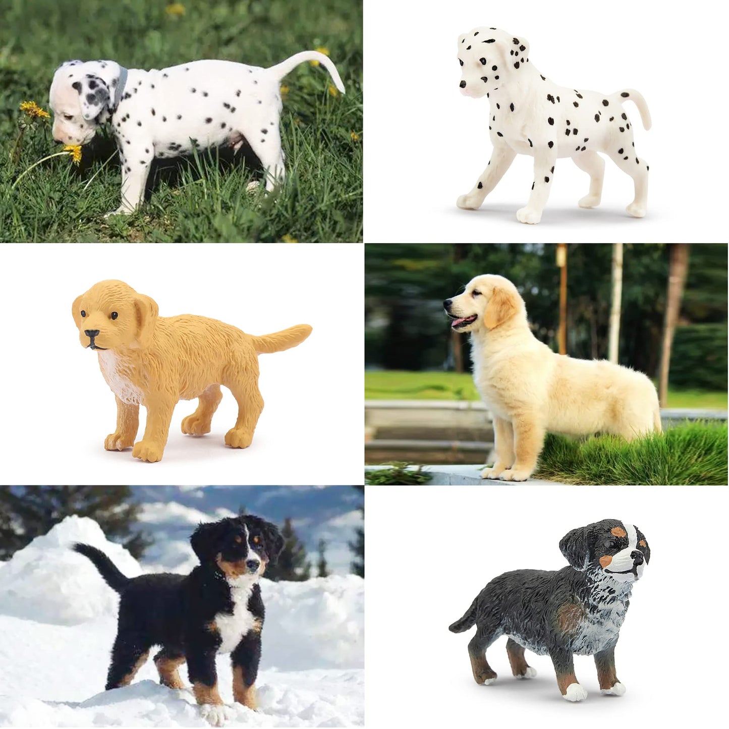 Toymany 12PCS Mini Dog Figurines Playset – Realistic Hand-Painted Puppy Figures, Plastic Animal Toys, Cake Toppers & Gifts for Kids