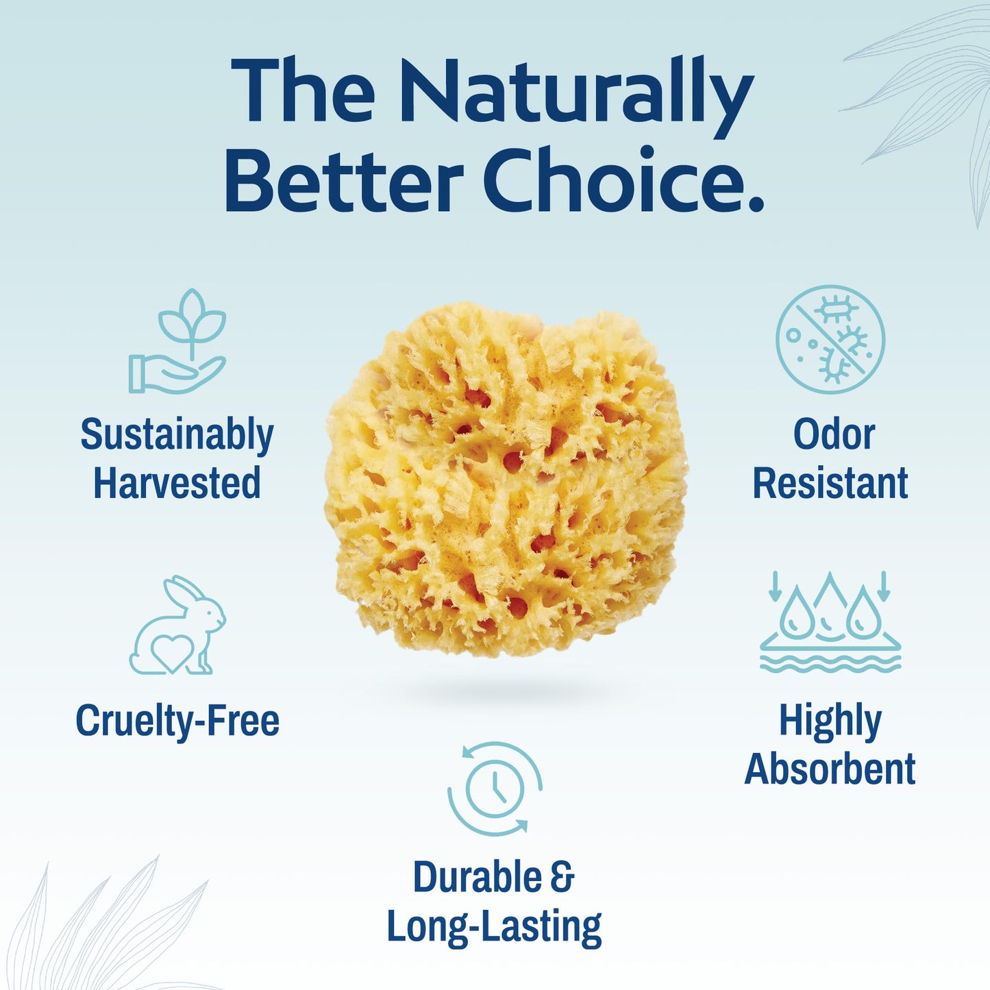 HartFelt Delicate Skin Wool Sea Sponge 4 in | Real Natural Sponges for Body and Face Gentle Care | Luxurious Lather