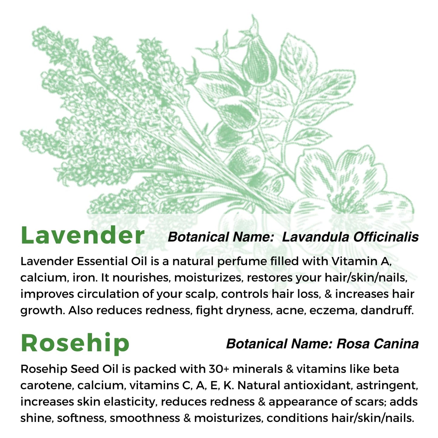 Multiuse Lavender + Rosehip Oil Medley for Face, Body, and Hair - Natural Rosehip Oil, Shea Nut Oil, Lavender Essential Oil, and Vitamin E - Seals in