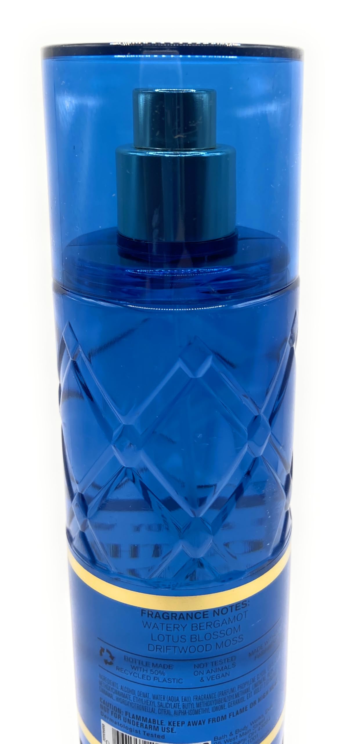 Bath and Body Works On The Horizon Fine Fragrance Mist 8 Fluid Ounce Spray