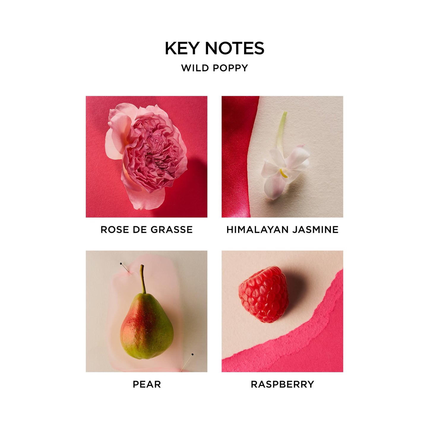 NEST New York Wild Poppy Eau de Parfum (Full Size) - 50 mL - Vegan & Cruelty Free