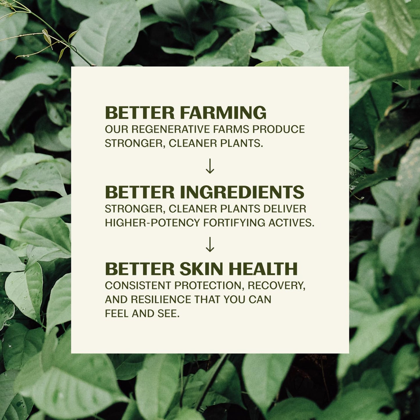 Thrive Natural Care Moisturizing Mineral Face Sunscreen SPF 30, 2 Ounces, Lightweight Moisturizer Broad-Spectrum Natural Face Sunblock with Clear Zinc