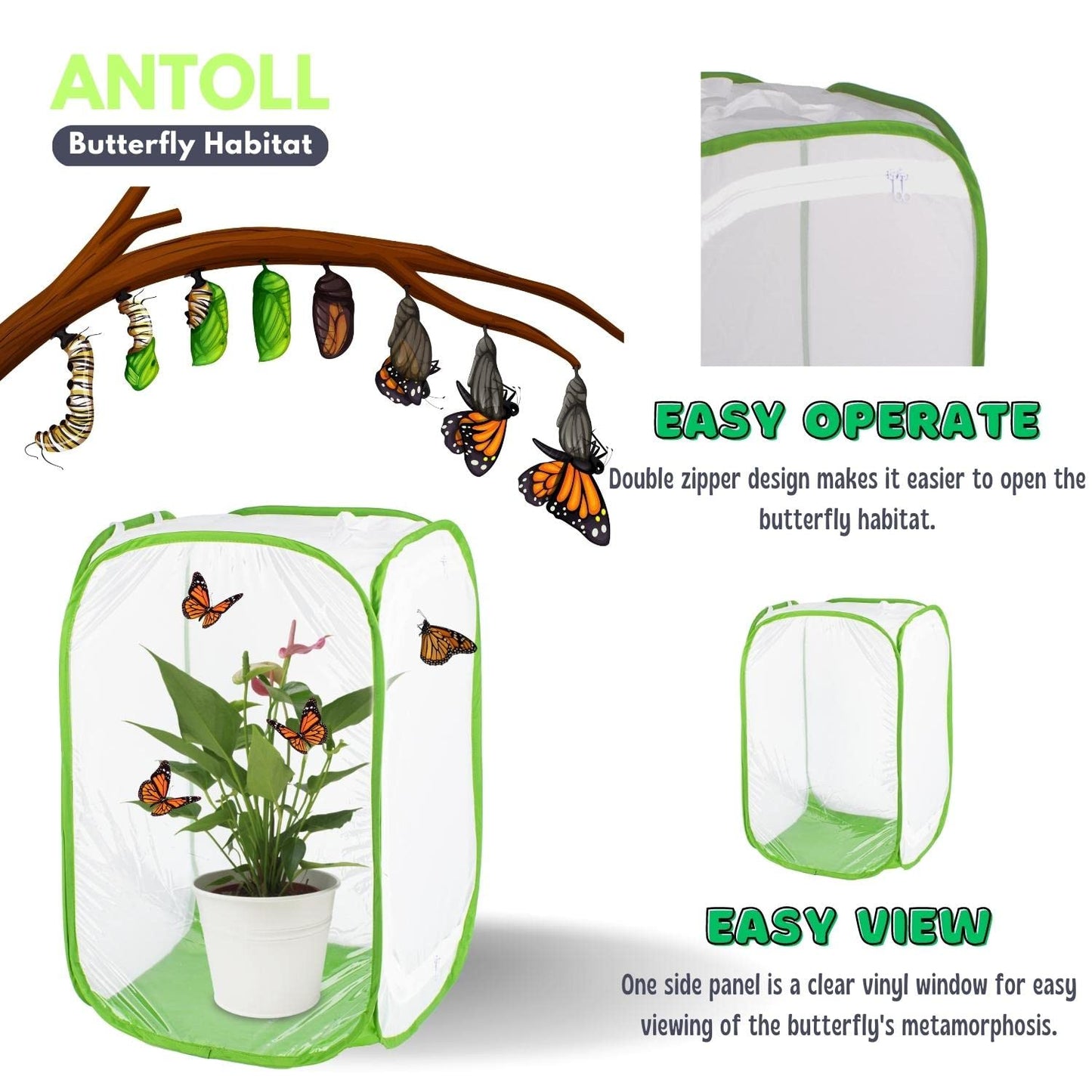 Antoll 3-Pack 24" Green Butterfly Habitat Cage – Monarch & Caterpillar Mesh Enclosure, Pop-Up Insect Observation Cage 16