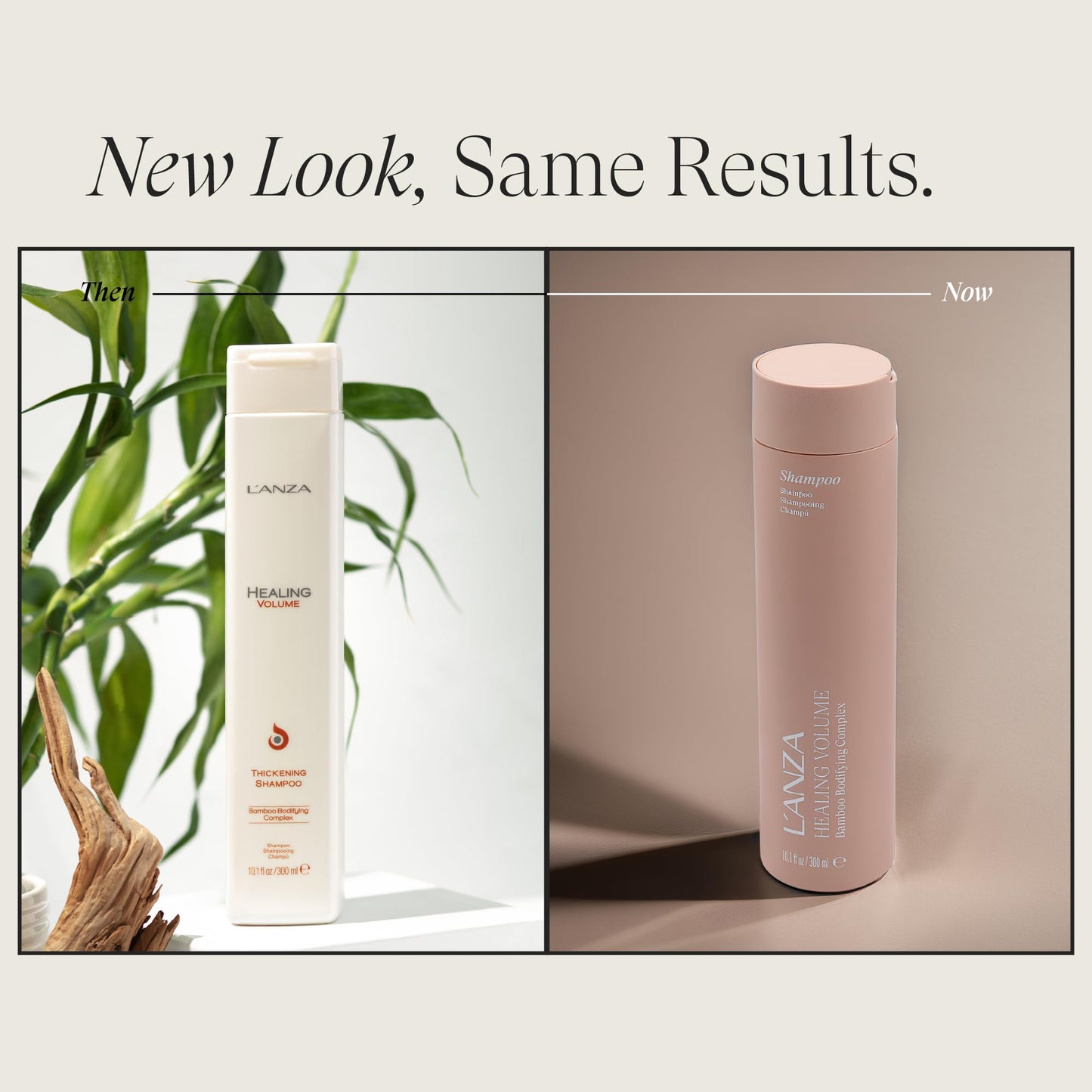 L'ANZA Healing Volume Thickening Shampoo, Boosts Shine, Volume, and Thickness for Fine and Flat Hair, Rich with Bamboo Bodifying Complex and Keratin