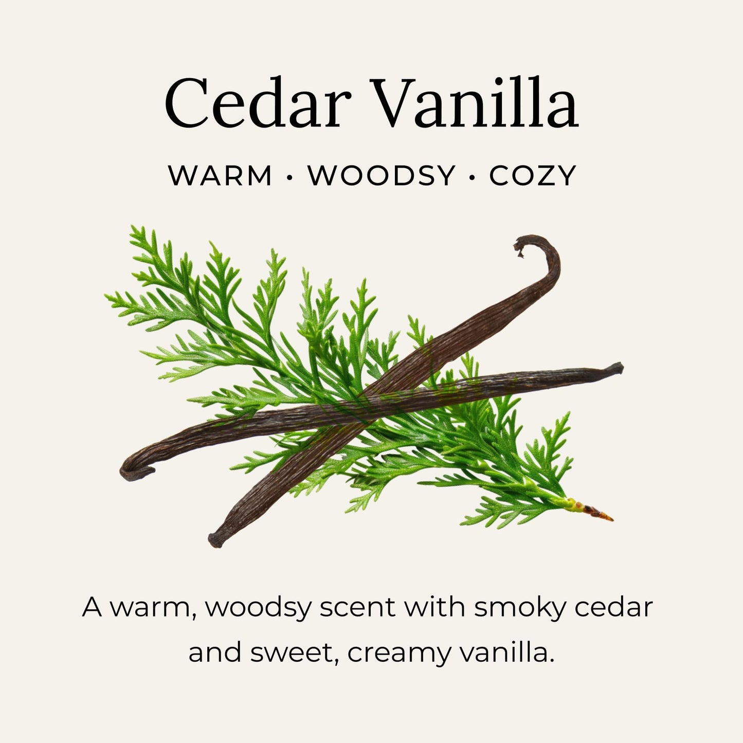 Little Seed Farm All Natural Deodorant Cream - Cedar Vanilla - Aluminum Free Deodorant for Women or Men, Net Wt. 2.4oz | 68g Beauty and Personal Care Little Seed Farm