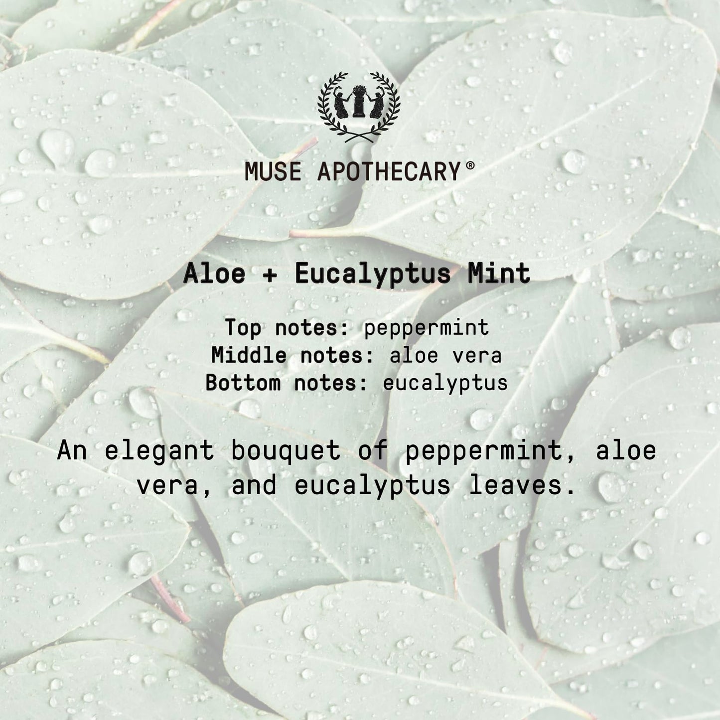 Muse Apothecary Study Ritual - Aromatic and Invigorating Room Mist, 4 oz, Infused with Natural Essential Oils - Aloe + Eucalyptus Mint, 2 Pack