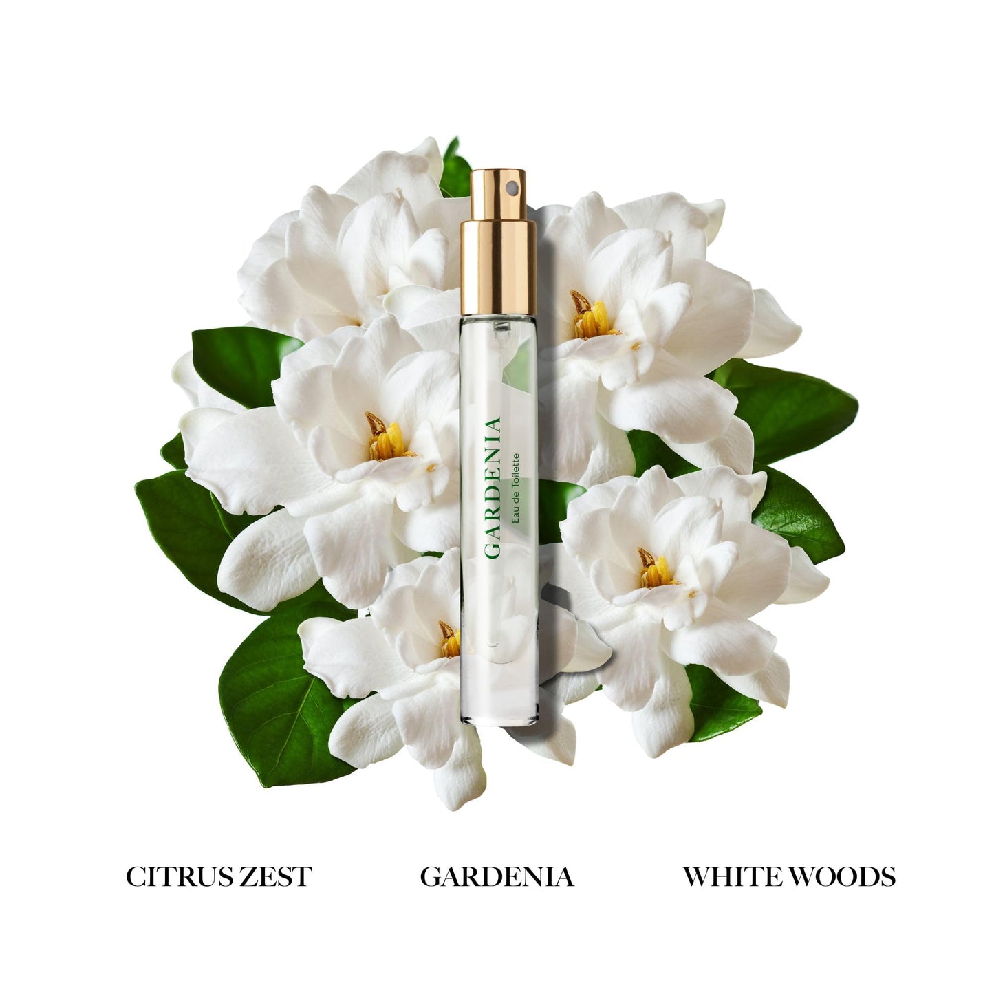Caswell-Massey Gardenia Eau de Toilette Spray, Feminine Floral Perfume with Citrus Zest, Gardenia & Peony, Made in USA, 0.25 Oz