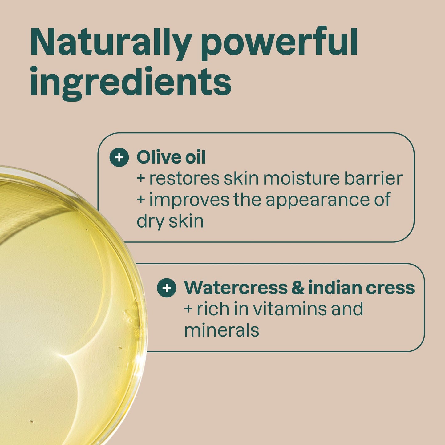 ATTITUDE Body Soap Bar, Natural Origin, Protects and Softens Dry Skin, Coconut & Olive Oils, For Men and Women, EWG verified & Vegan, Sandalwood, 4 Oz
