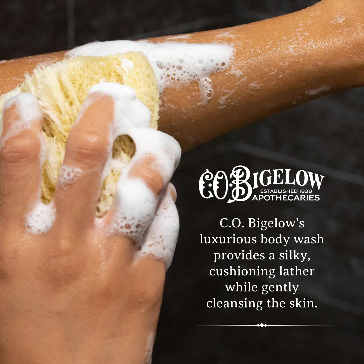 C.O. Bigelow Iconic Collection Amber Body Wash, Scented Shower Gel with Coconut Oil and Aloe Vera, 10.5 fl oz Beauty & Personal Care C. O. Bigelow