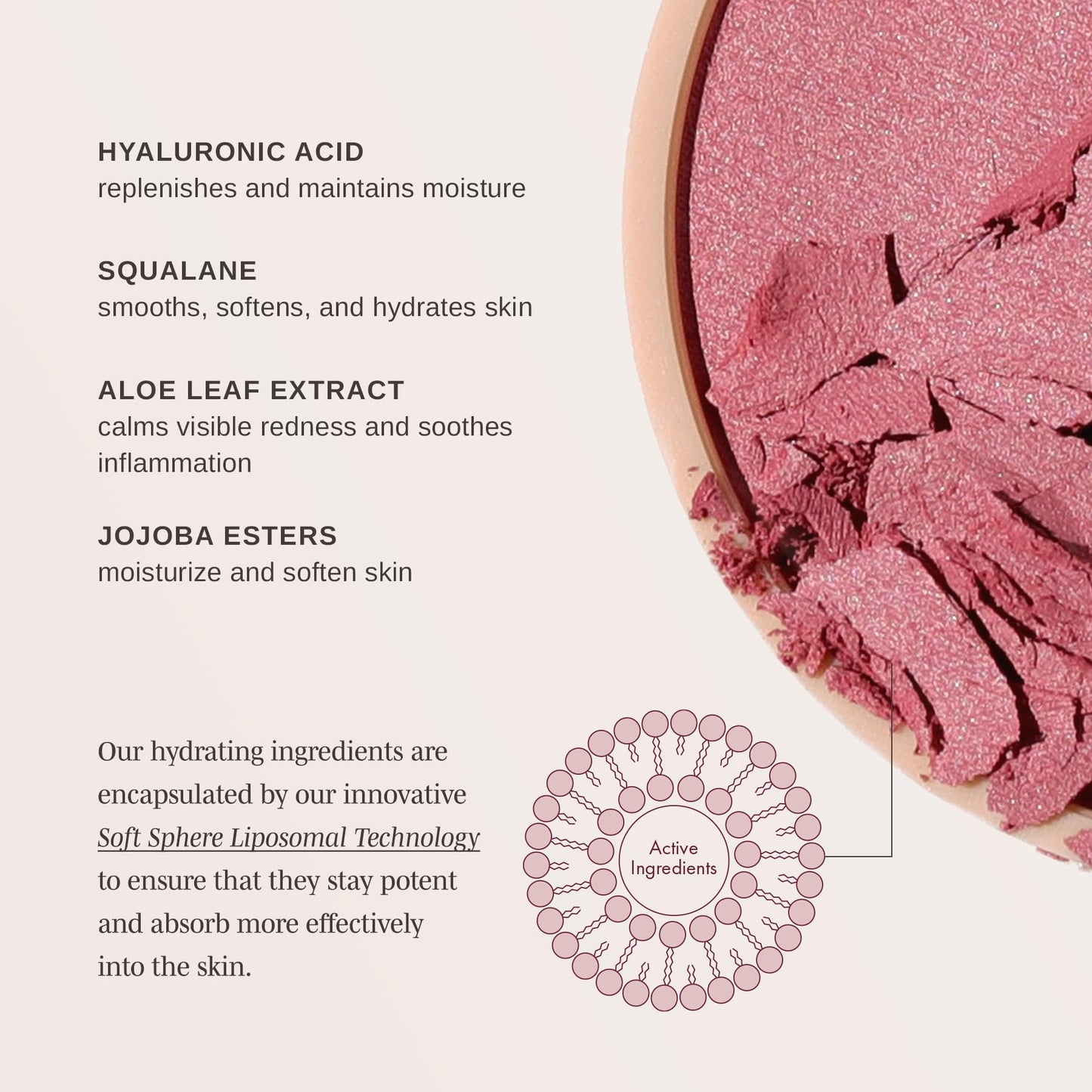 Wander Beauty Hydrating Powder Blush - Lightweight, Rose Blush Makeup with a Blurring, Satin Finish - Buildable Formula with Hyaluronic Acid, Squalane