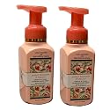 Bath and Body Works Gentle and Clean Foaming Hand Soap 8.75 oz each - Pack of 2 (Peach Blossom and Nectar)