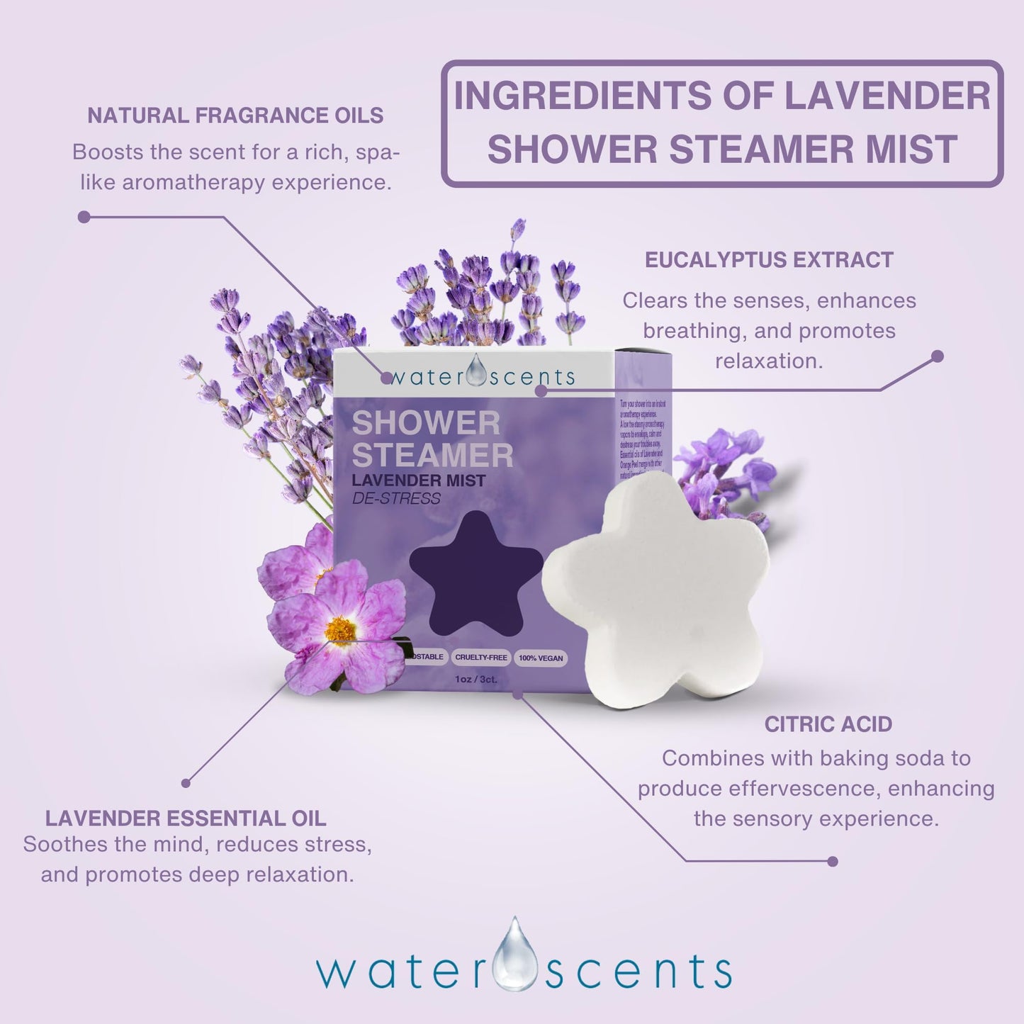 Water Scents Shower Steamer Mist - Aromatherapy Flower Fizzy with Lavender & Orange Essential Oils - Natural Self Care, Vegan, Travel Essentials…