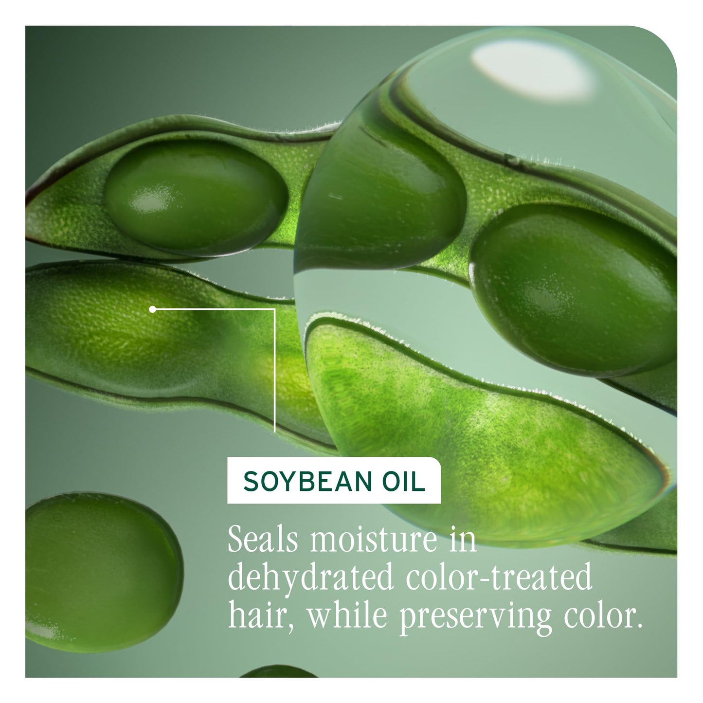 Biolage Color Last Shampoo - For Color-Treated Hair, Nourishes, Strengthens, Hydrates and Adds Shine, Soybean Oil & Stearic Acid, Paraben & Mineral