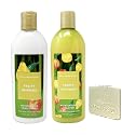 Bath & Body Works Fruity Infusion - Duo Set - Moisturizing Conditioner and Shampoo with a Natural Oats Sample Soap