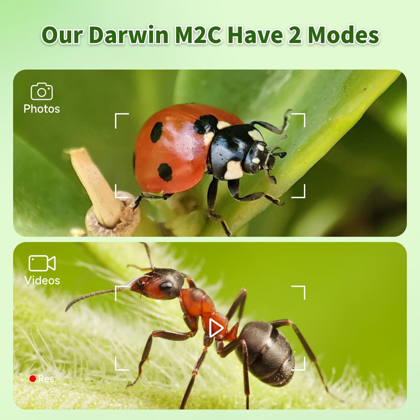 BEAVERLAB Finder Digital Microscope with 4 Inch Screen, 1080P HD 1600X Kids Portable Handheld Microscope with 8G Card for Scientific Experiment