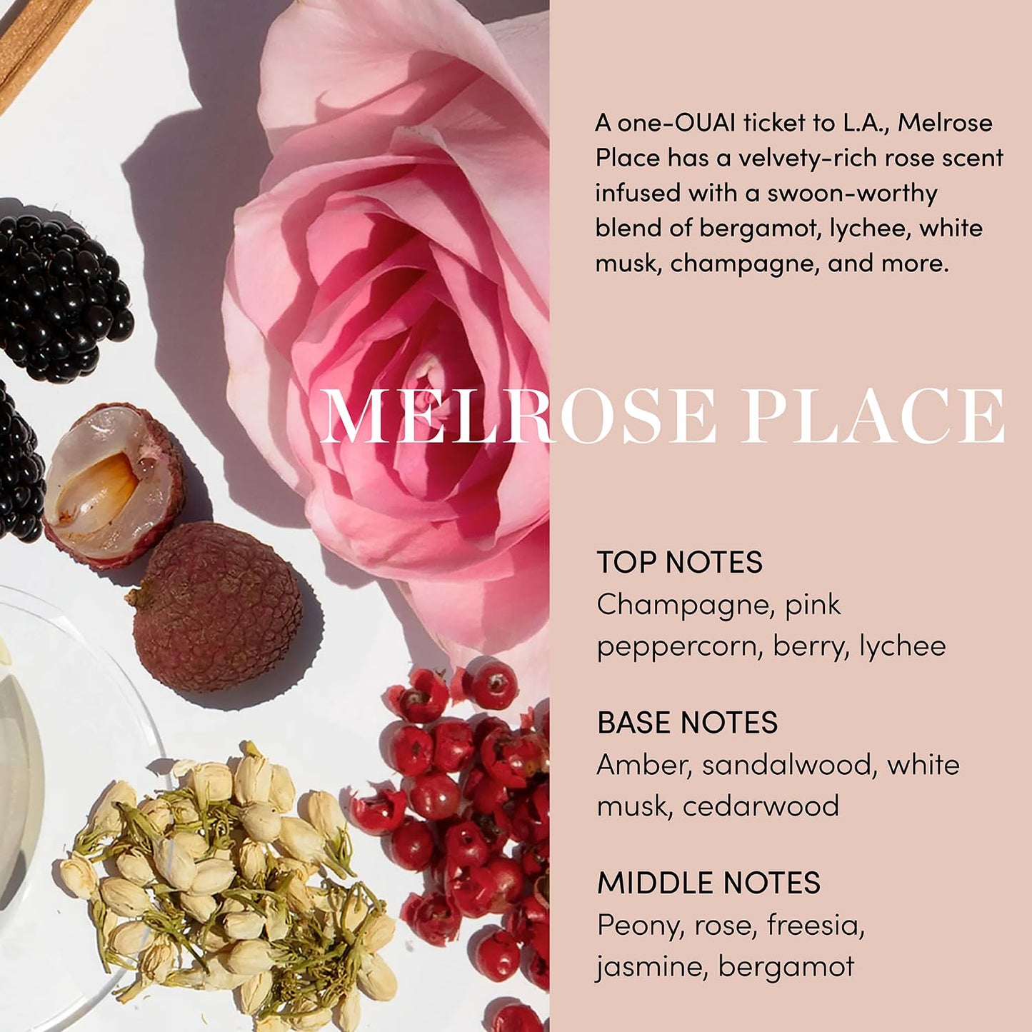 OUAI Body Cleanser, Melrose Place - Foaming Body Wash with Jojoba Oil and Rosehip Oil to Hydrate, Nurture, Balance and Soften Skin - Paraben Beauty and Personal Care OUAI