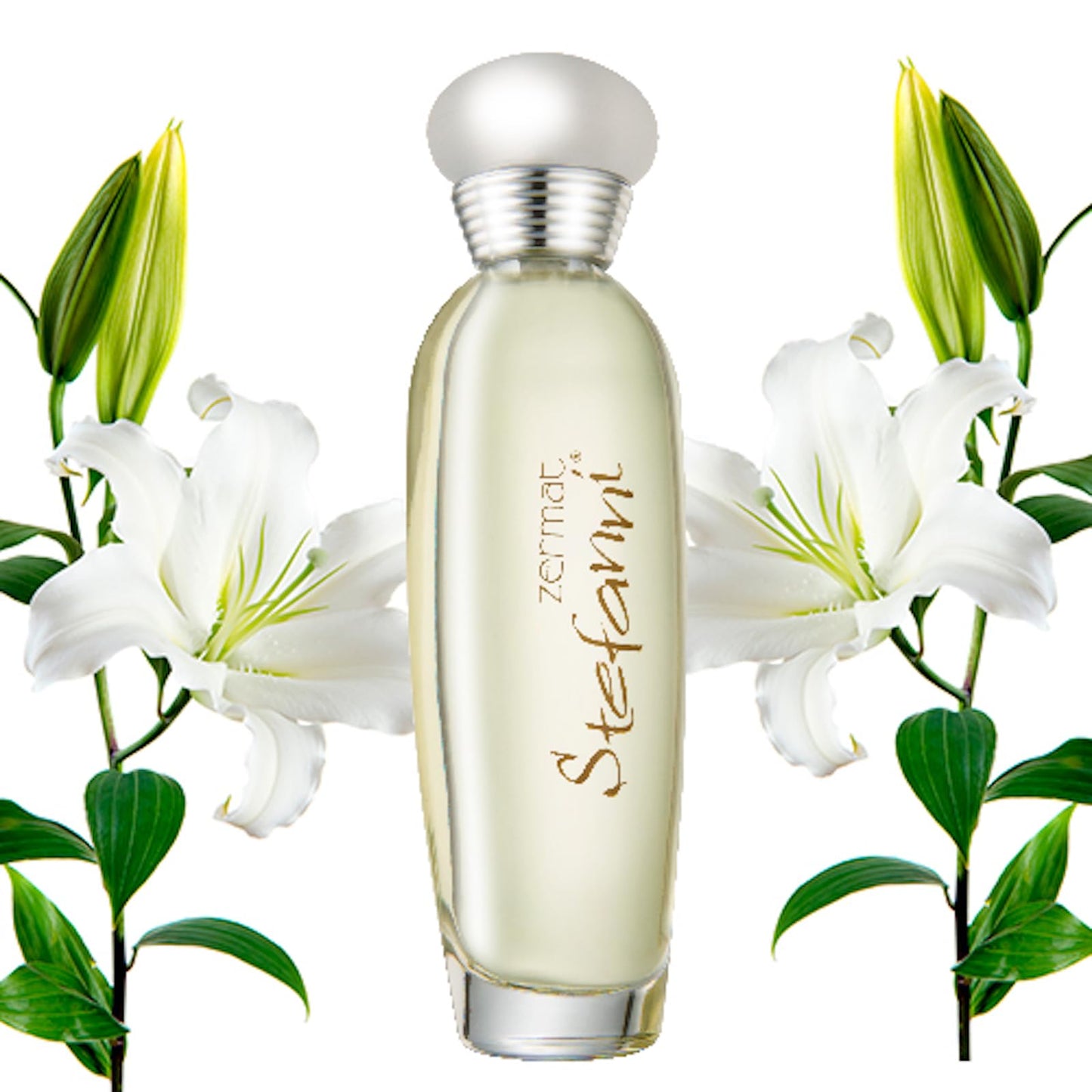 Zermat Stefanni Women perfume - Modern Floral and Fruity Scent with Notes of Fruits, Jasmines, and Lilies- Eua Perfum.