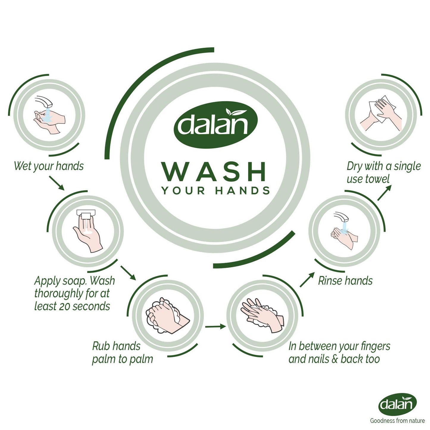 Dalan Aloe Vera Juice Cream Ultra Moisturizing Liquid Hand Soap for Dry and Fresh Hands Feeling Clean and Soft (13.5 Fl Oz / 400 mL (Pack of 6))