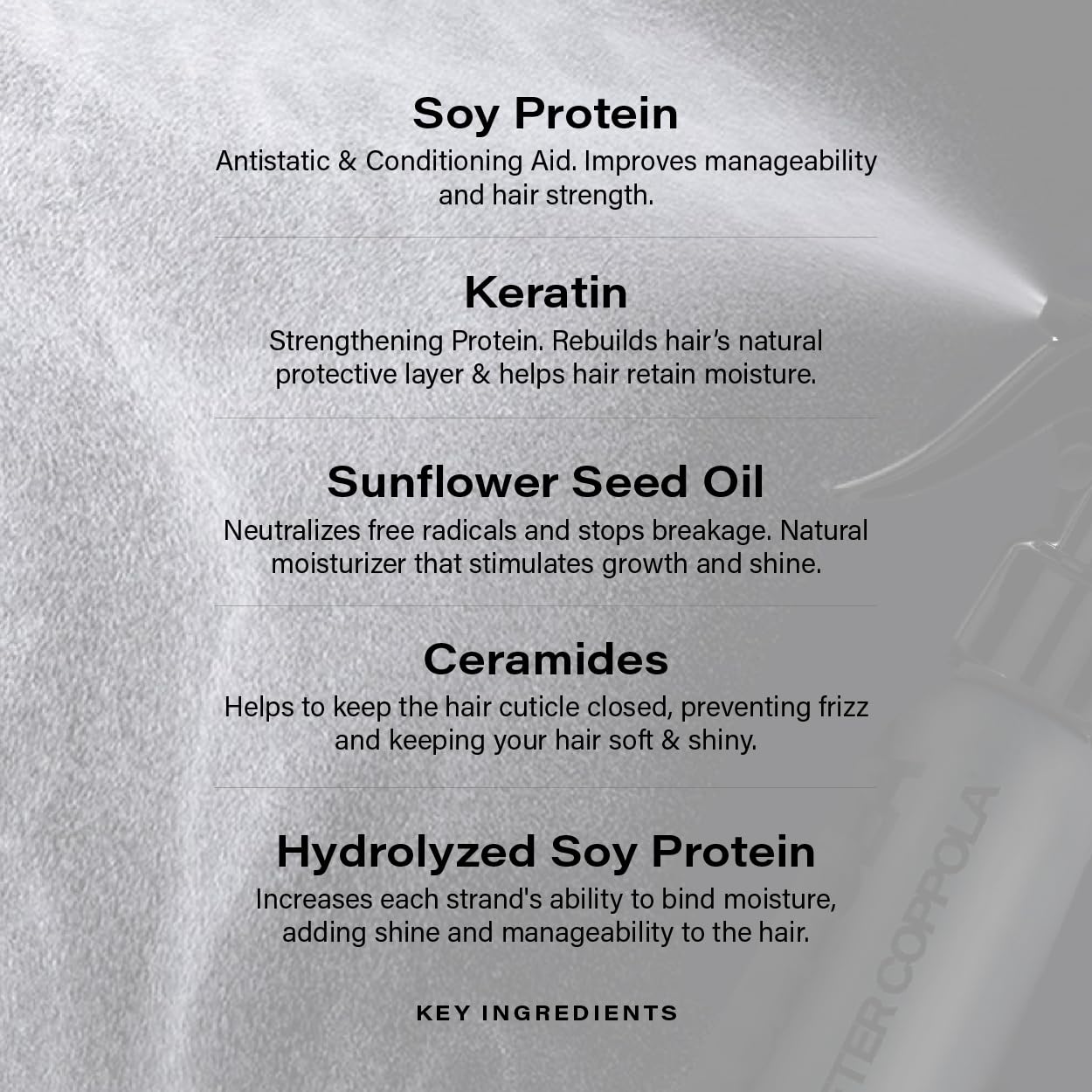 PETER COPPOLA Just Blow - Heat Protectant Spray for Blow-Drying, Anti-Frizz, Smoothing and Straightening All Hair Types - Conditions and Adds Shine