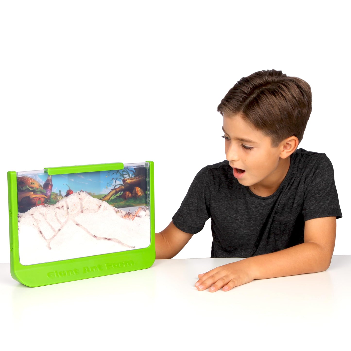 Uncle Milton Giant Ant Farm – Large Viewing Habitat to Care for Live Ants, Nature Learning & Science DIY Toy Kit, Educational Gift for Boys & Girls