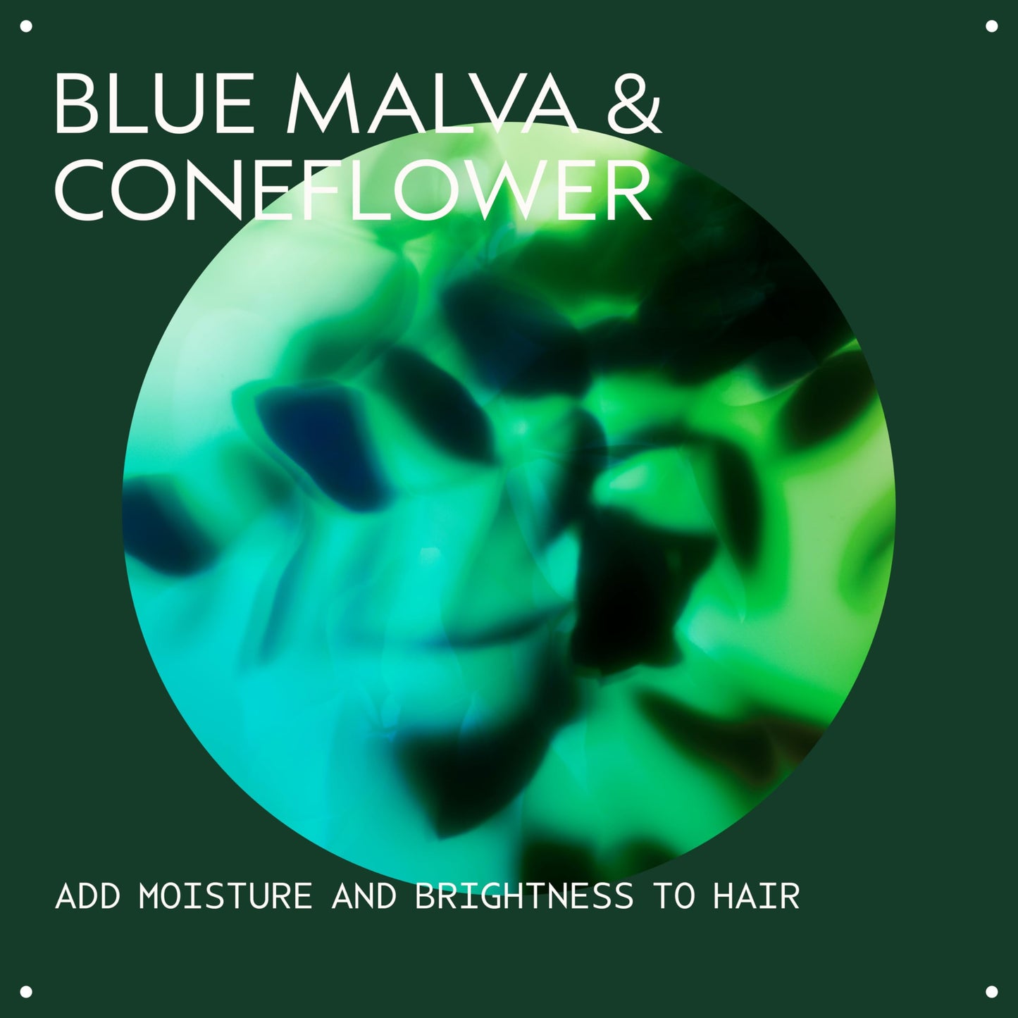 Aveda Blue Malva Color Conditioner | Purple Conditioner for Silver, Gray, Blonde Hair | Neutralizes Brassiness | Deeply Conditions Hair, 8.5 Fl Oz