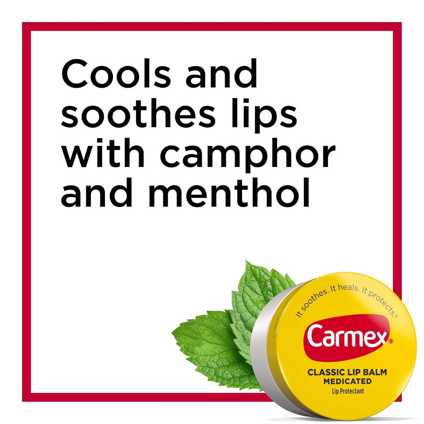 Carmex Medicated Lip Balm Jars, Lip Protectant - Pack of 3