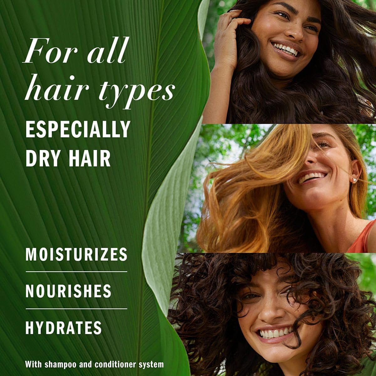 Dr. Healdy Batana Oil for Hair Growth and Nourishment-100% Raw Unrefined Batana from Honduras,Strengthens, Moisturizes, Reduces Hair