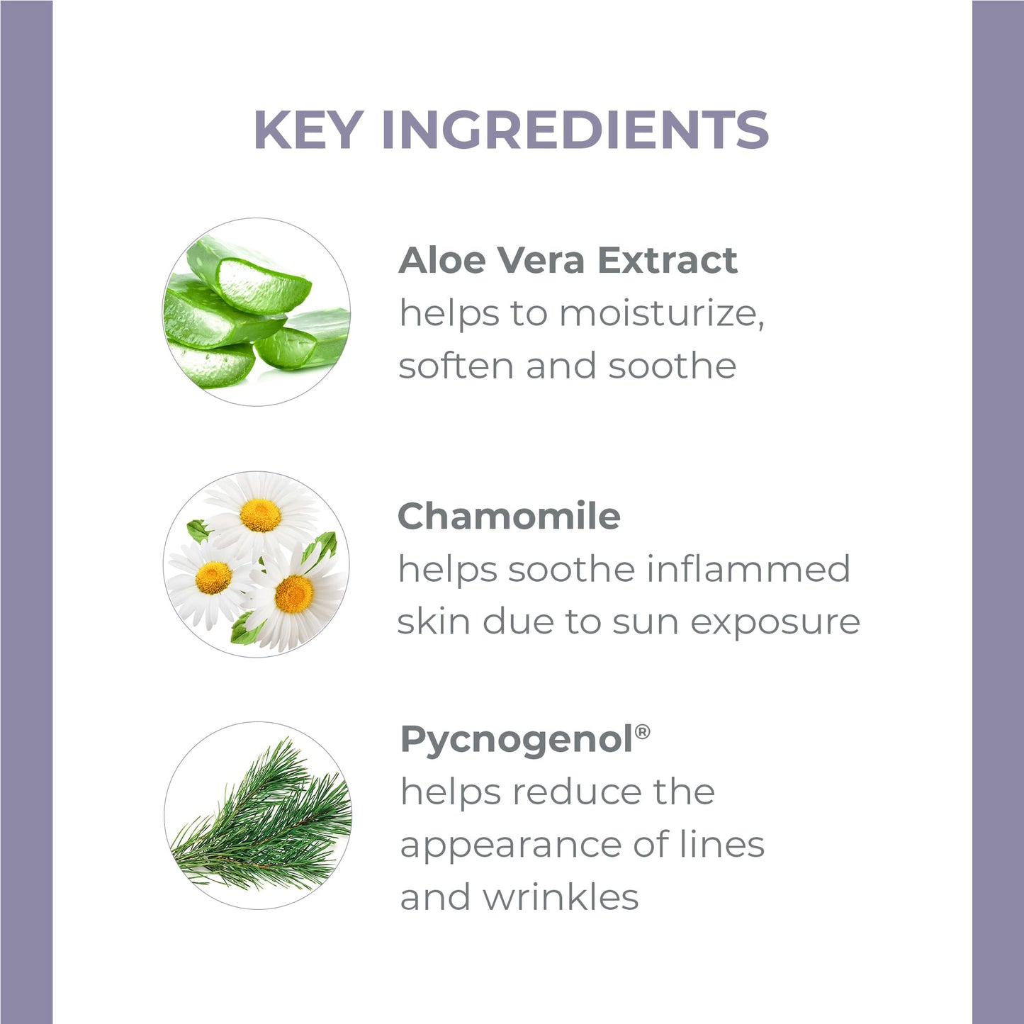 Derma E Vitamin E Fragrance Free Sensitive Skin Shea Hand Repair Cream - Intensive Therapy Hand Cream - Cruelty Free Unscented Lotion for Dry or