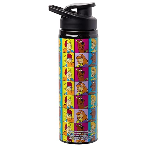 Silver Buffalo Scooby-Doo “Those Meddling Kids!” Stainless Steel Water Bottle Featuring Scooby-Doo, Fred, Velma, Shaggy, and Daphne, 25 Ounces