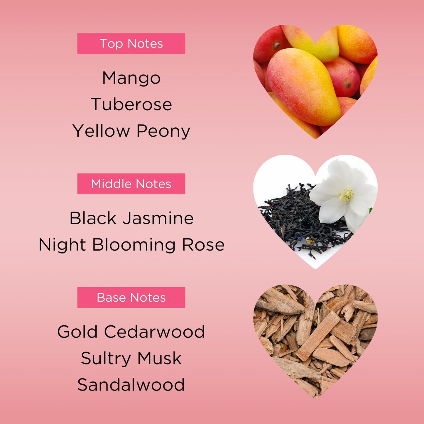 BEBE by Bebe EAU DE PARFUM SPRAY 3.4 OZ